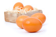 Photo: Brown eggs on a white background Brown eggs on a white background