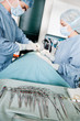 Focus On Surgical Forceps With Veterinarian Doctors In Operating