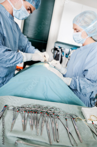 Photo: Focus On Surgical Forceps With Veterinarian Doctors In Operating Focus On Surgical Forceps With Veterinarian Doctors In Operating