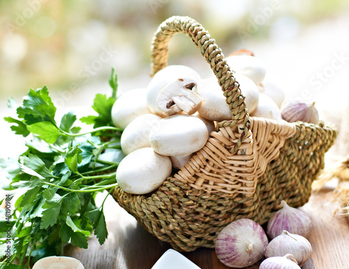Photo: Agaricus Agaricus
