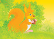 squirrel with a nut on a forest glade