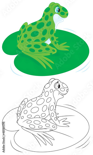 Illustration: frog sitting on a big leaf of water lily frog sitting on a big leaf of water lily