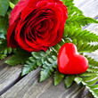 Rose und Herz
