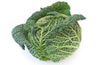 Kale vegetable