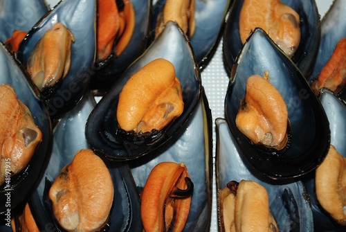 Photo: Mejillones al vapor Mejillones al vapor