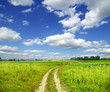 field