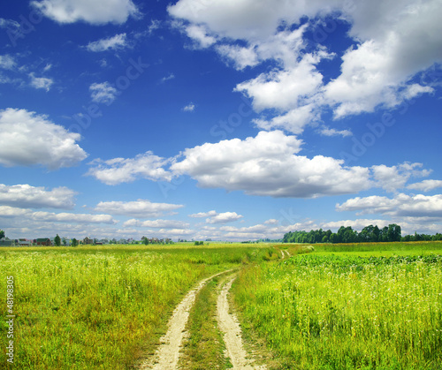 Photo: field field