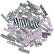 Word cloud for Autofocus