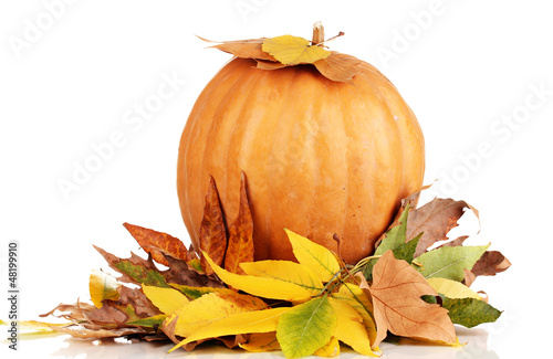 Photo: Ripe orange pumpkin yellow autumn leaves isolated on white Ripe orange pumpkin yellow autumn leaves isolated on white