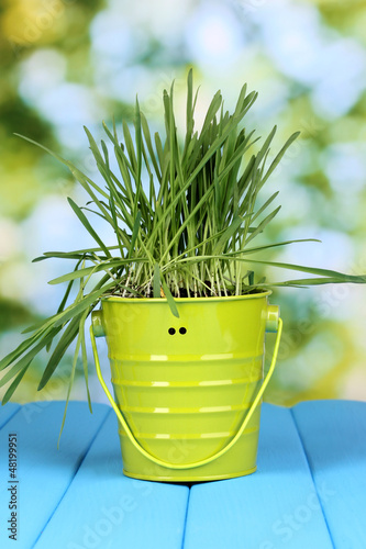 Photo: Green grass in bucket on wooden table on bright background Green grass in bucket on wooden table on bright background