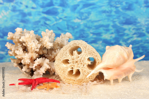 Photo: Loofah on color background Loofah on color background