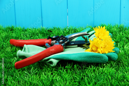 Photo: Secateurs with flower on grass on fence background Secateurs with flower on grass on fence background