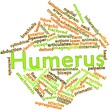 Word cloud for Humerus