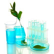 test-tubes and leaves tested in petri dishes  isolated on white