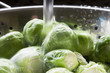 Photo: Rinsing Sprouts Rinsing Sprouts