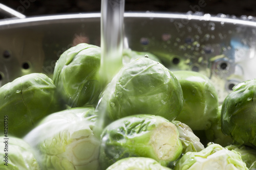 Photo: Rinsing Sprouts Rinsing Sprouts