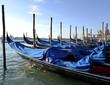 Gondole a venezia