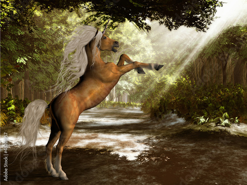 Illustration: Forest Unicorn Forest Unicorn