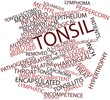 Word cloud for Tonsil