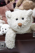 Alter runzliger Teddybär