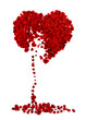 Broken heart illustration