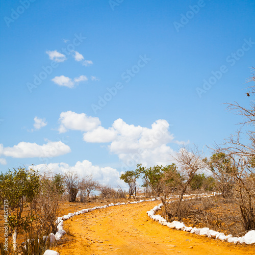 Photo: Savana road Savana road