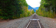 Railroad in the fall forest with mountains.