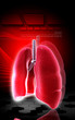 Human lungs
