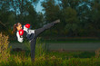 Beautiful kick boxing girl exercising kick in the nature