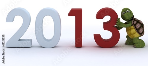 Illustration: tortoise bringing in the new year tortoise bringing in the new year