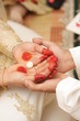 Marriage contract ceremony (akad nikah)