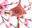 chinese knot, good fortune before will start chinese new year