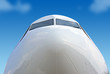 canvas print picture - Flugzeugnase