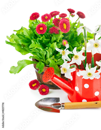 Photo: spring flowers with garden tools isolated on white background spring flowers with garden tools isolated on white background