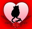 Cats in Love Heart Valentine Card-Gatti innamorati San Valentino