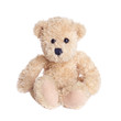 teddy