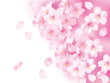 桜ふわり