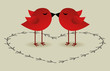 birds love card