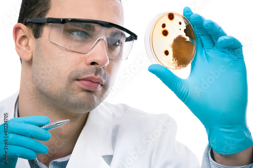 Photo: Scientist observing petri dish at the laboratory Scientist observing petri dish at the laboratory
