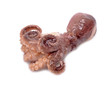 delicatessen octopus meat isolated on the white