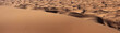 view over a Sand Dune in the Sahara desert