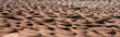 panorama of sand dunes in the Sahara desert