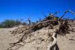 Death Valley
