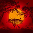 African sunset