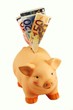 Foto: Sparschwein Sparschwein