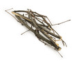 brushwood