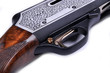 Shotgun detail
