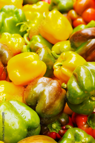 Photo: Many Color Bell Peppers Many Color Bell Peppers