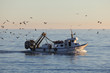 Fishing boat returning to home harbor with lots of seagulls