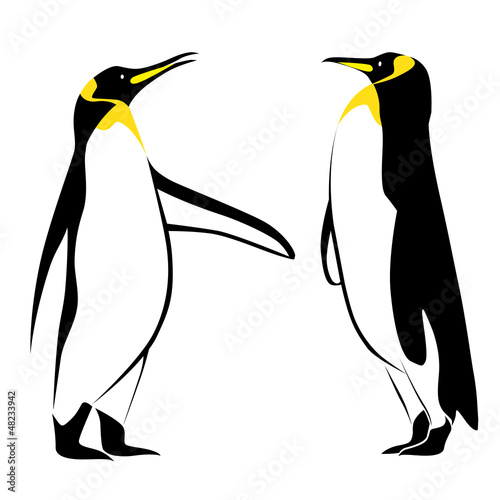 Vector: Vector image of a penguin Vector image of a penguin
